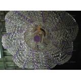 Люстра Космос № 2 фиолетовая в Магнитогорске Люстра Космос № 2 фиолетовая в Магнитогорске