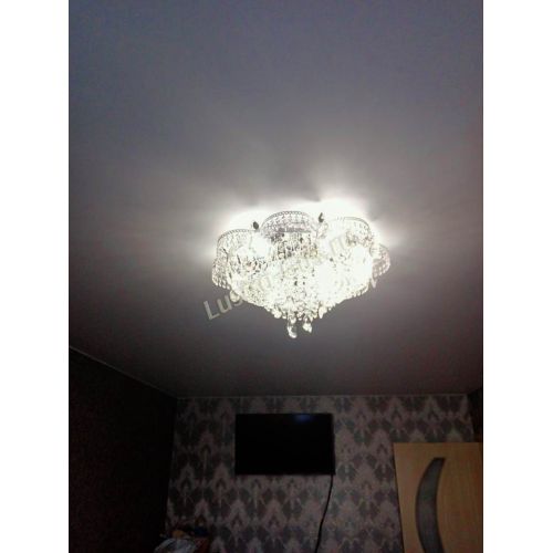 Люстра Камея №1 в Магнитогорске Гусь Хрустальный