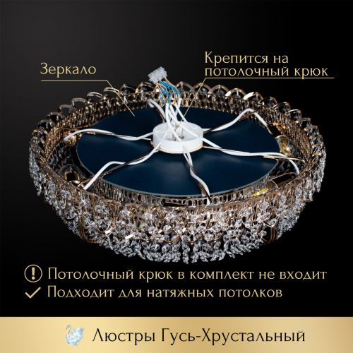 Люстра Кольцо оптикон в Магнитогорске Гусь Хрустальный